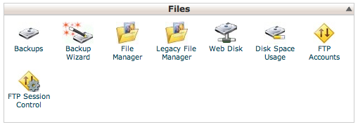 Cpanel Files Section